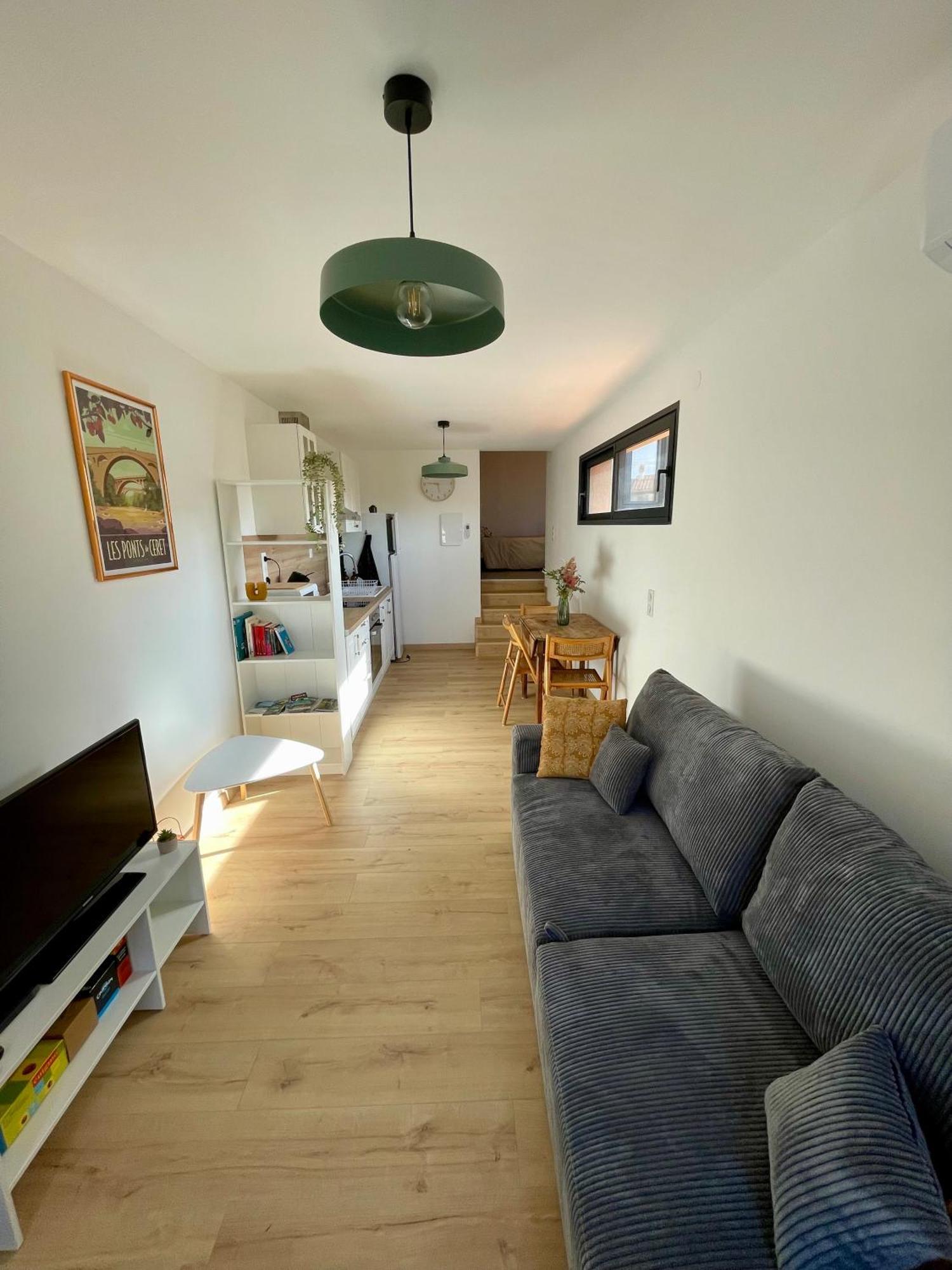 Bel Appartement A Céret Kültér fotó