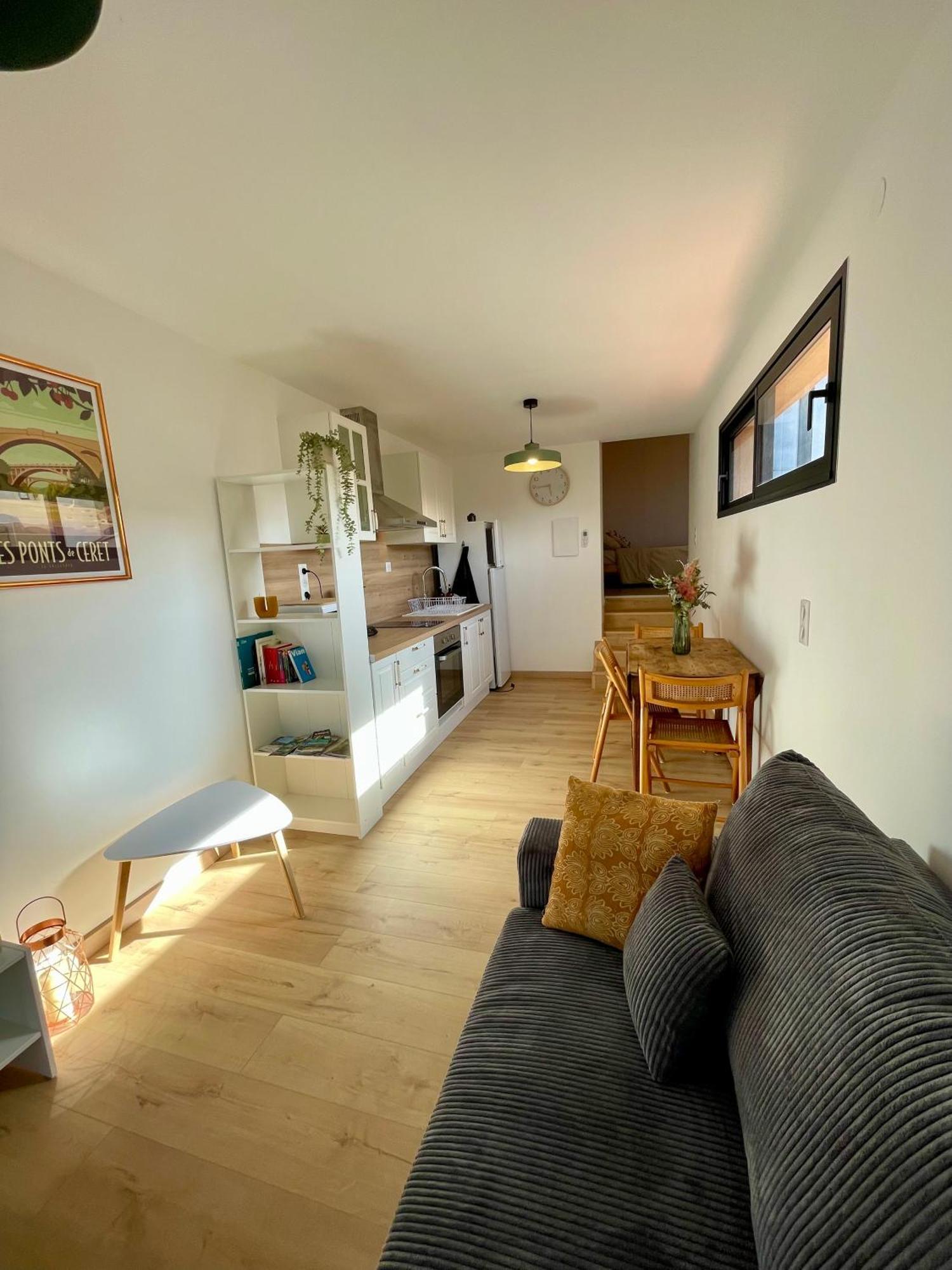Bel Appartement A Céret Kültér fotó